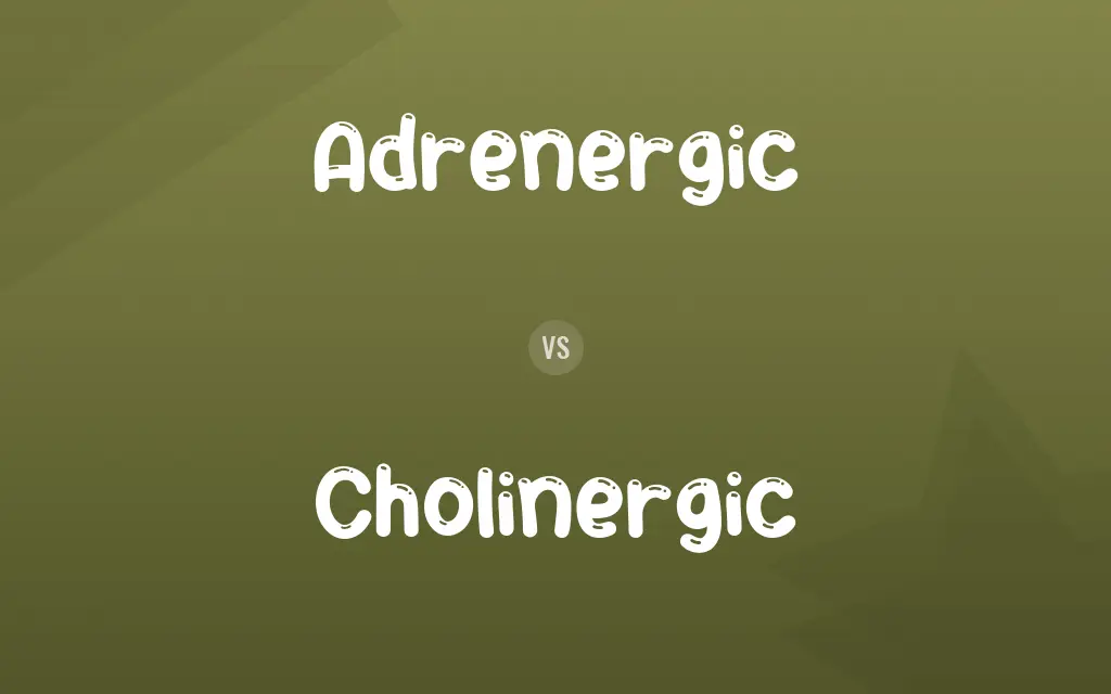 Adrenergic vs. Cholinergic