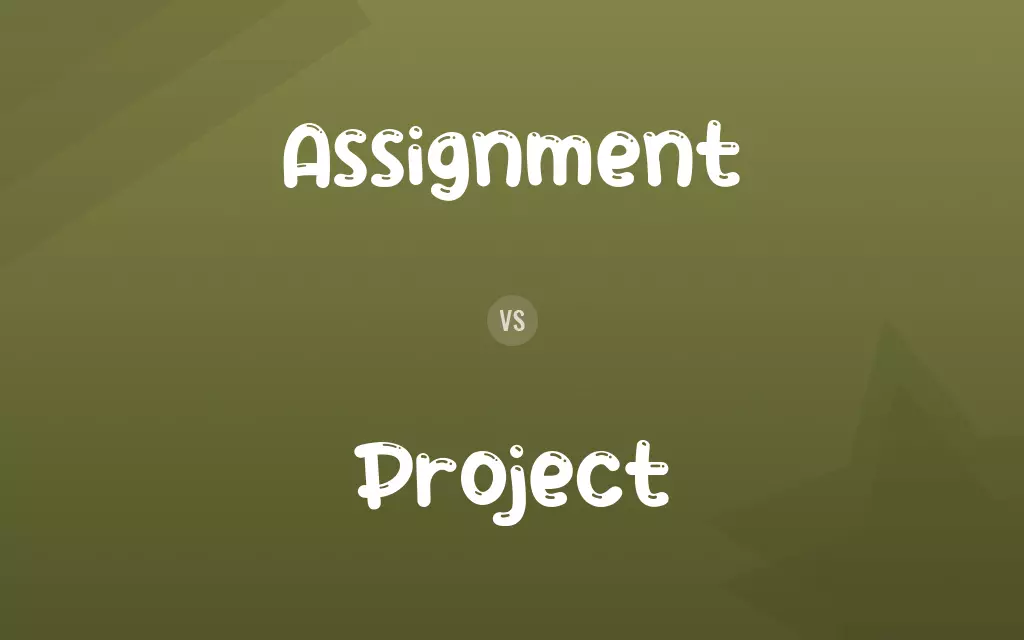 Assignment vs. Project