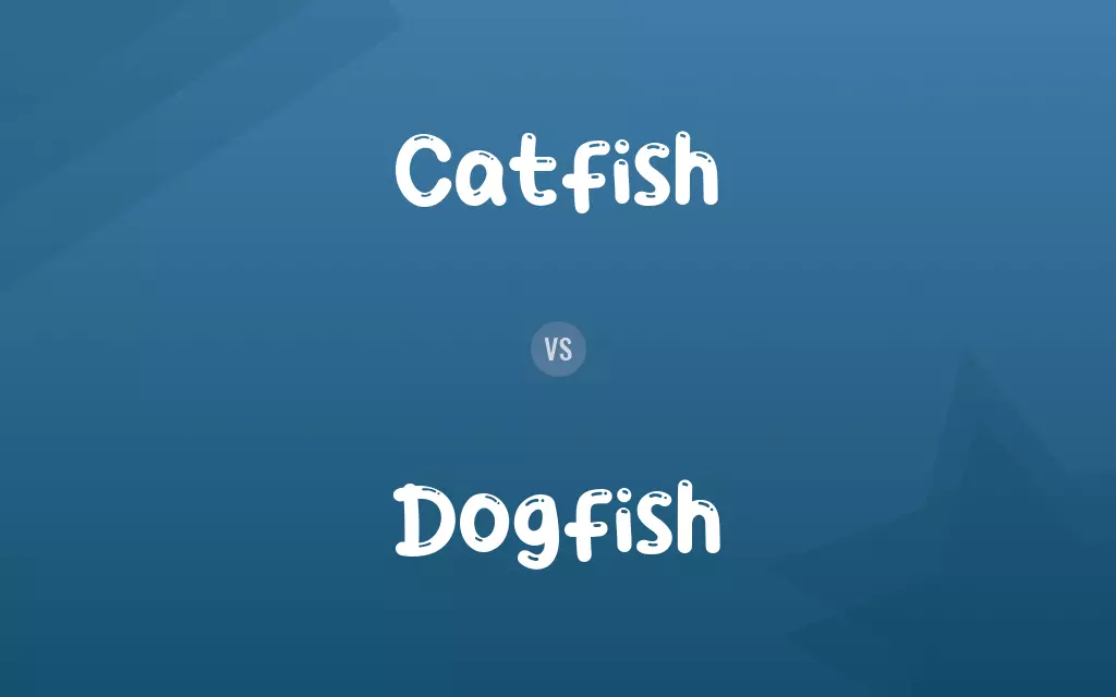 Catfish vs. Dogfish
