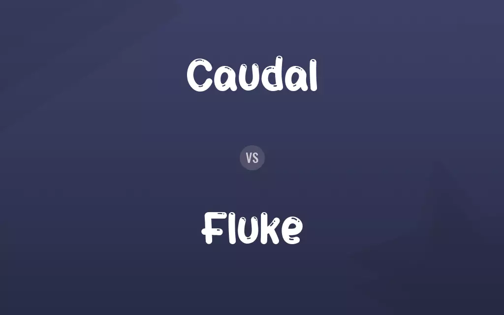 Caudal vs. Fluke