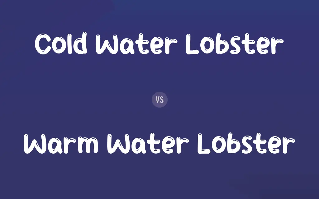 Cold Water Lobster vs. Warm Water Lobster