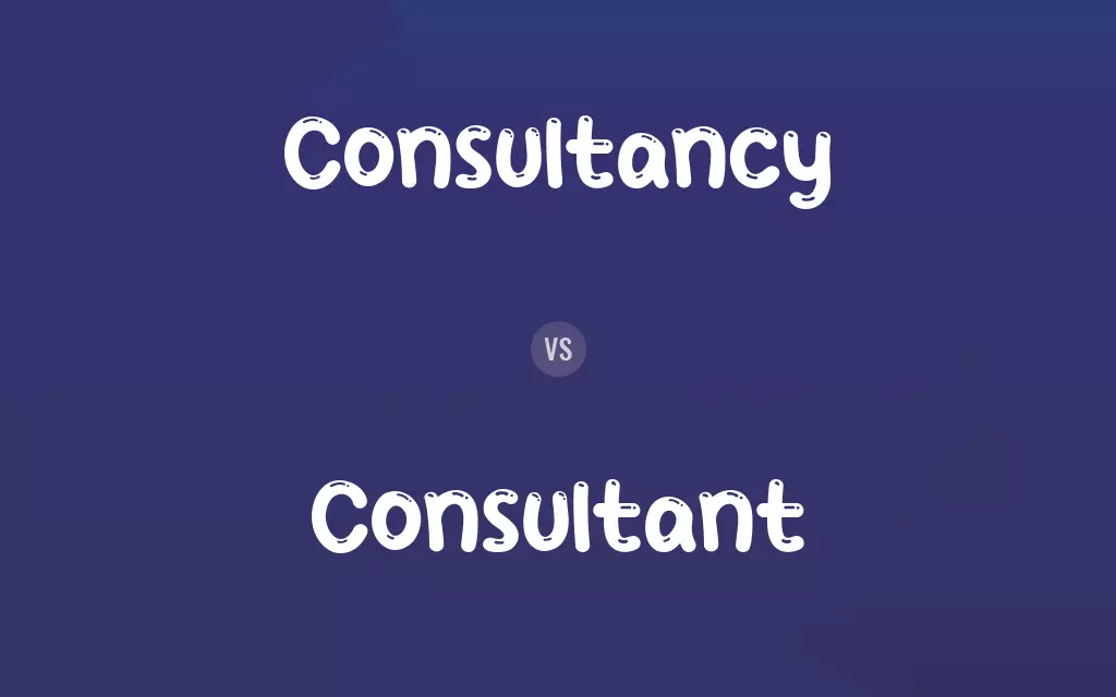 Consultancy vs. Consultant
