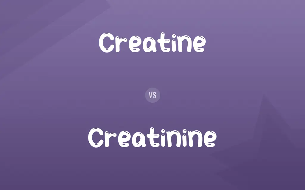 Creatine vs. Creatinine