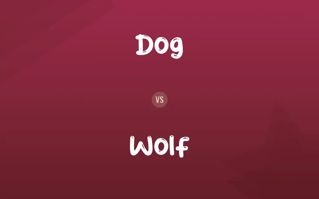 Dog vs. Wolf
