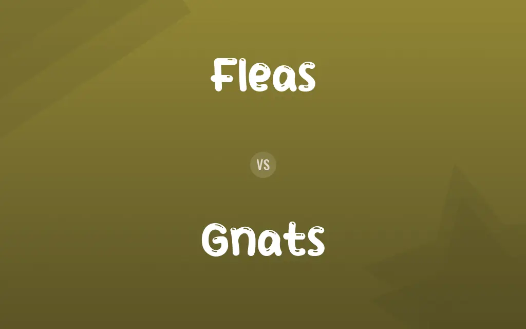 Fleas vs. Gnats
