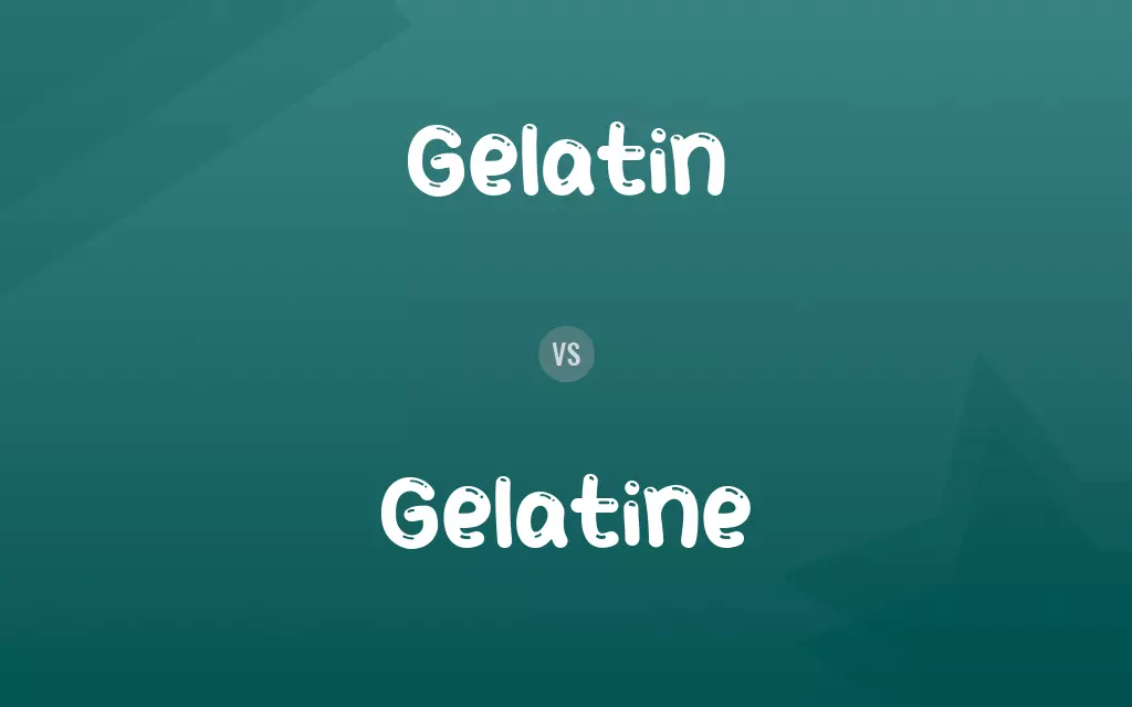 Gelatin vs. Gelatine