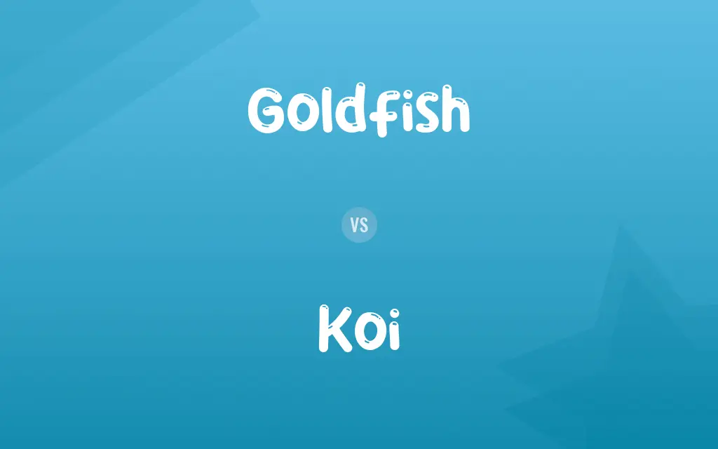 Goldfish vs. Koi