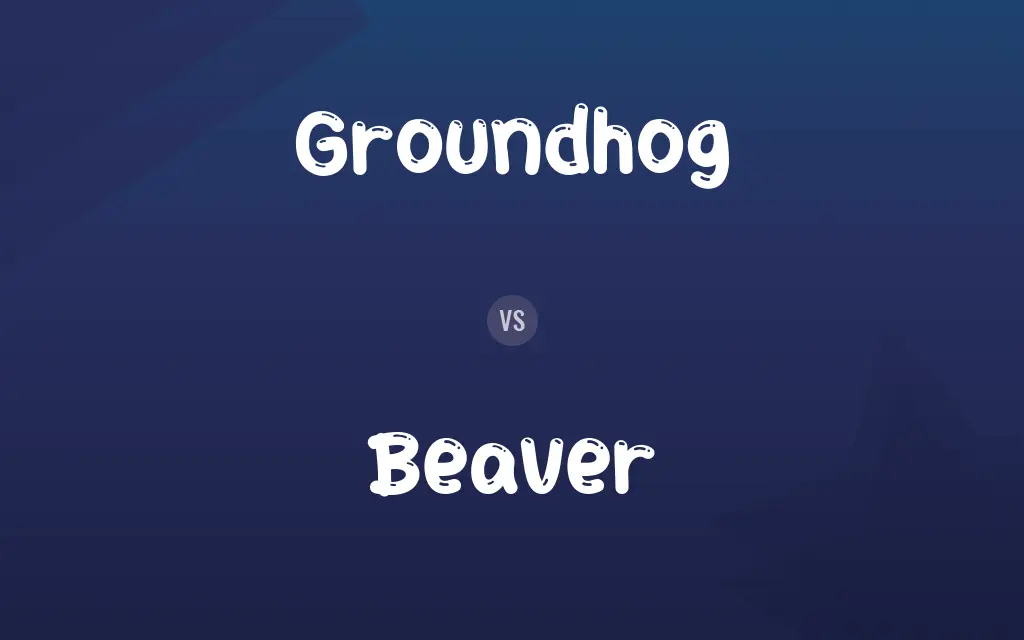 Groundhog vs. Beaver