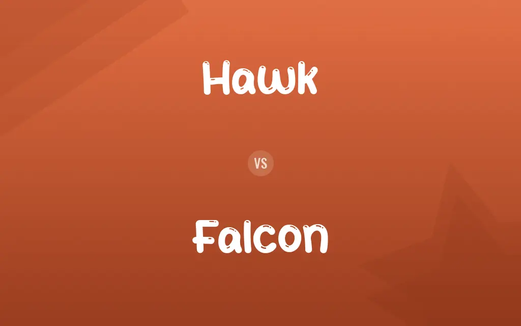 Hawk vs. Falcon