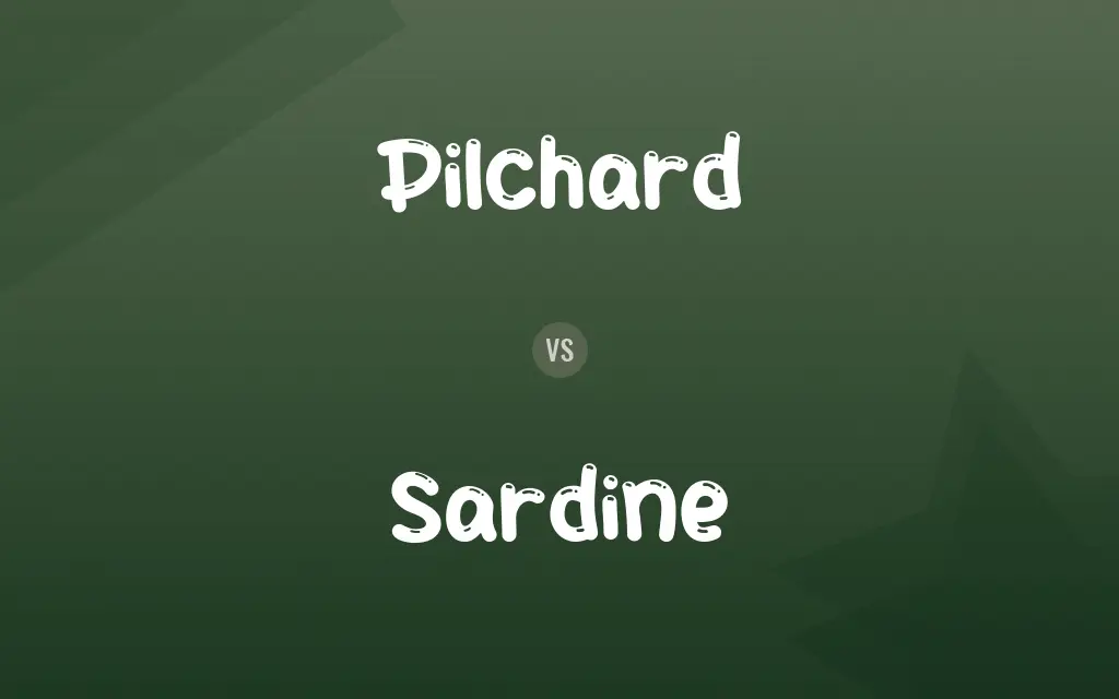 Pilchard vs. Sardine