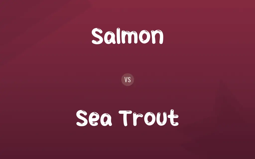 Salmon vs. Sea Trout