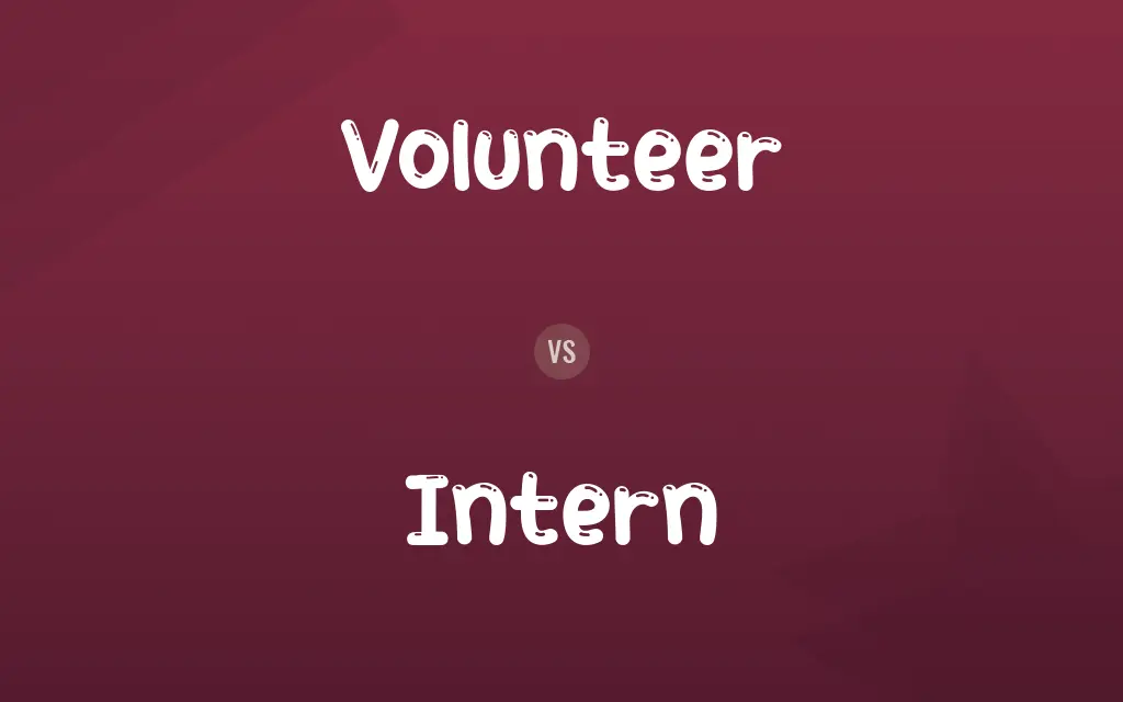 Volunteer vs. Intern