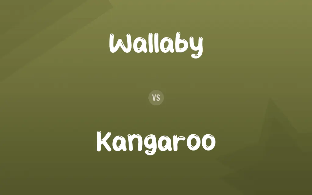 Wallaby vs. Kangaroo