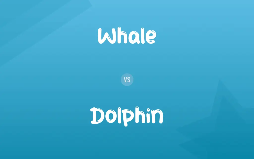 Whale vs. Dolphin