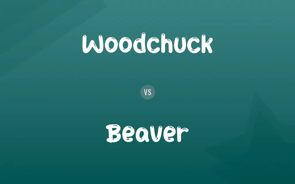 Woodchuck vs. Beaver
