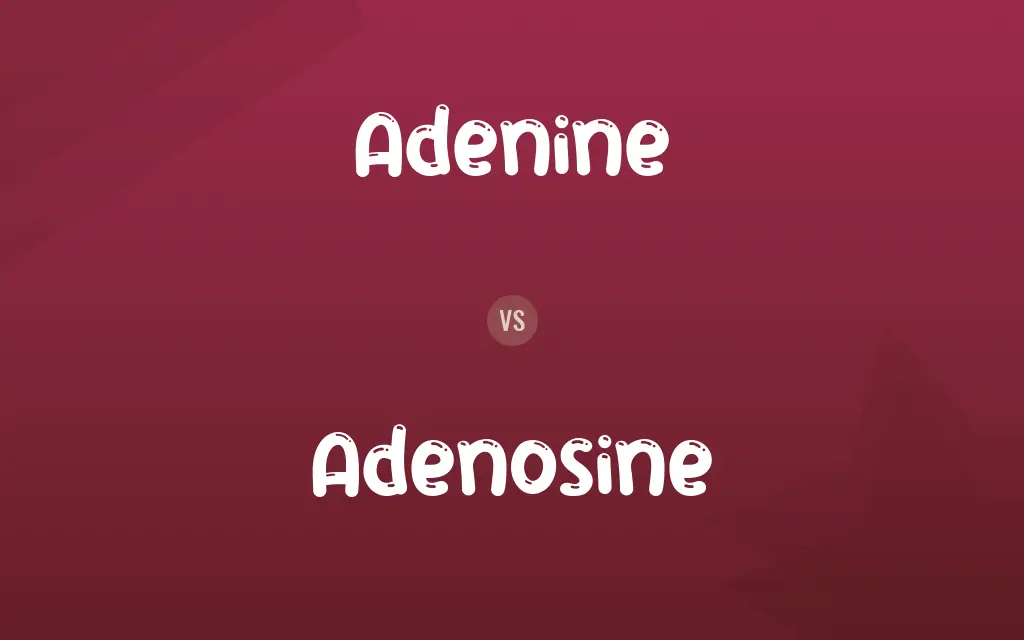 Adenine vs. Adenosine