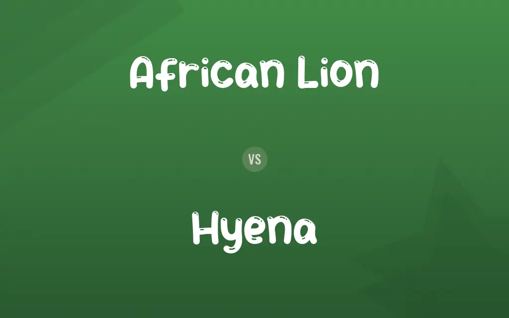 African Lion vs. Hyena