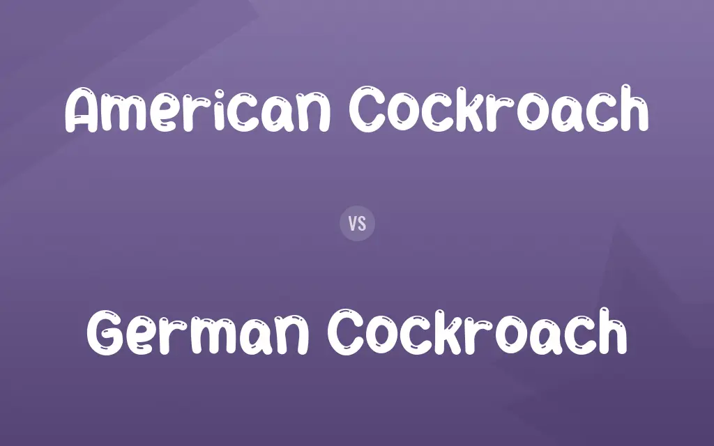 American Cockroach vs. German Cockroach