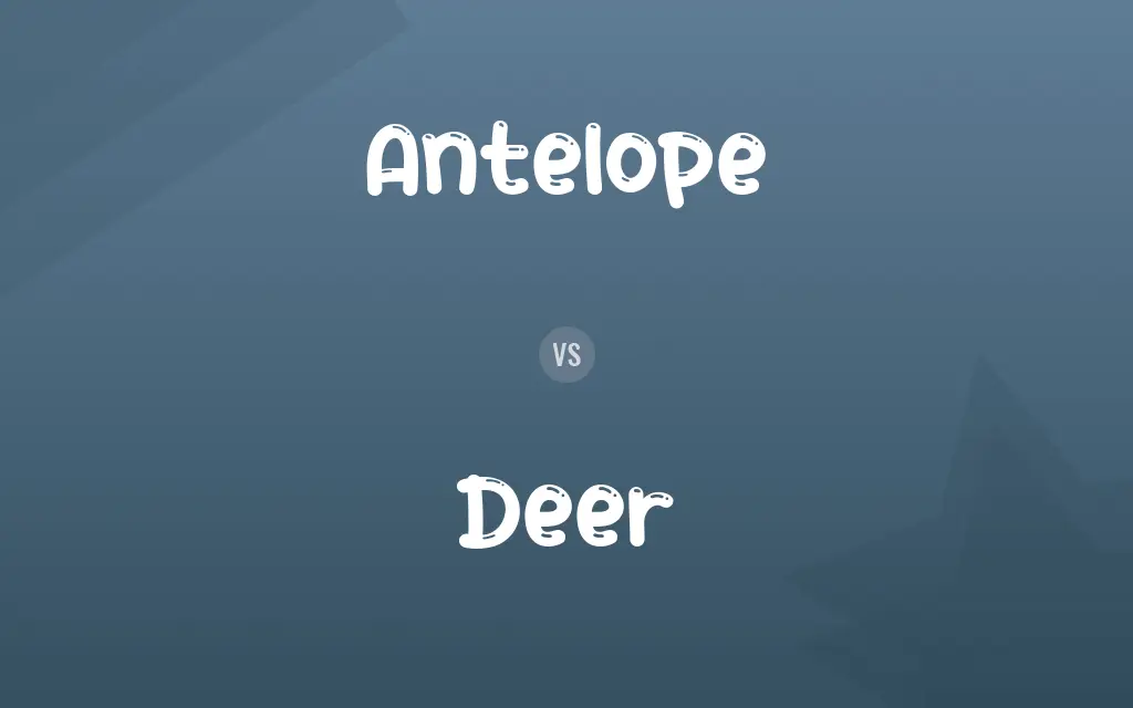Antelope vs. Deer