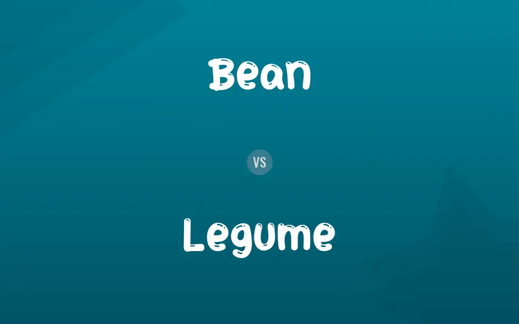 Bean vs. Legume