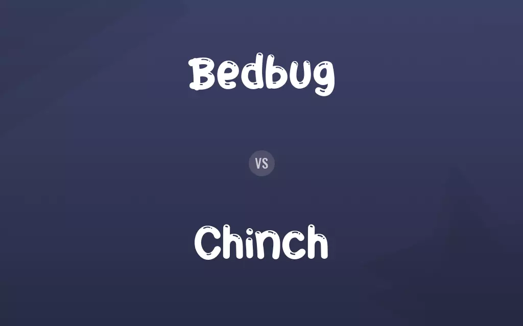 Bedbug vs. Chinch