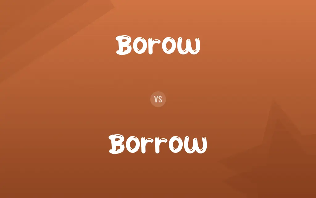 Borow vs. Borrow