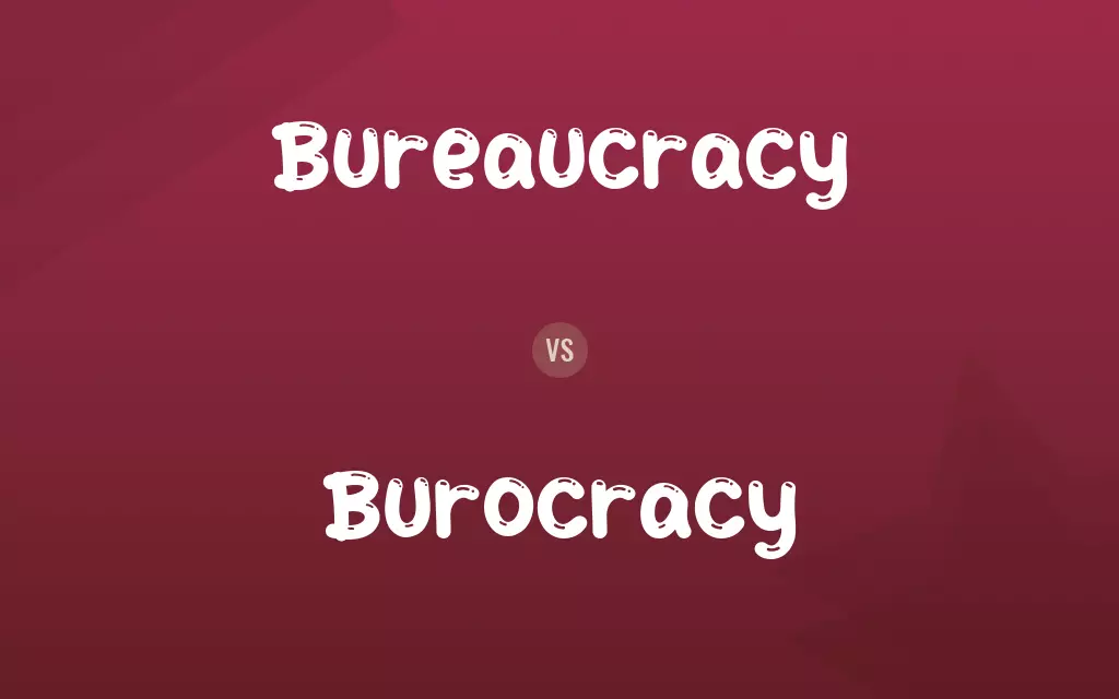 Burocracy vs. Bureaucracy