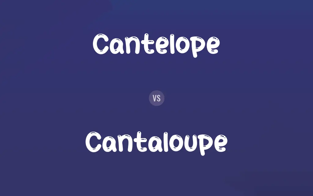 Cantelope vs. Cantaloupe