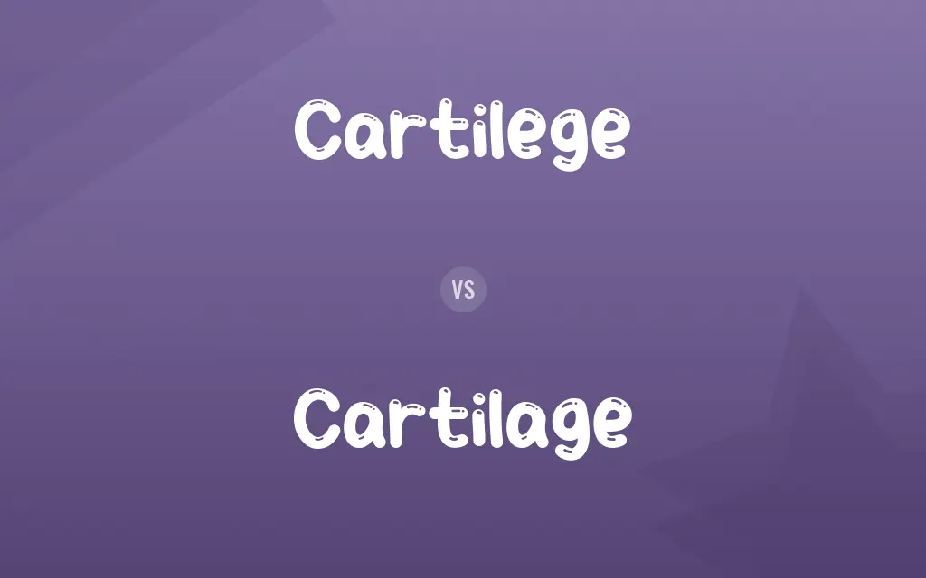 Cartilege vs. Cartilage