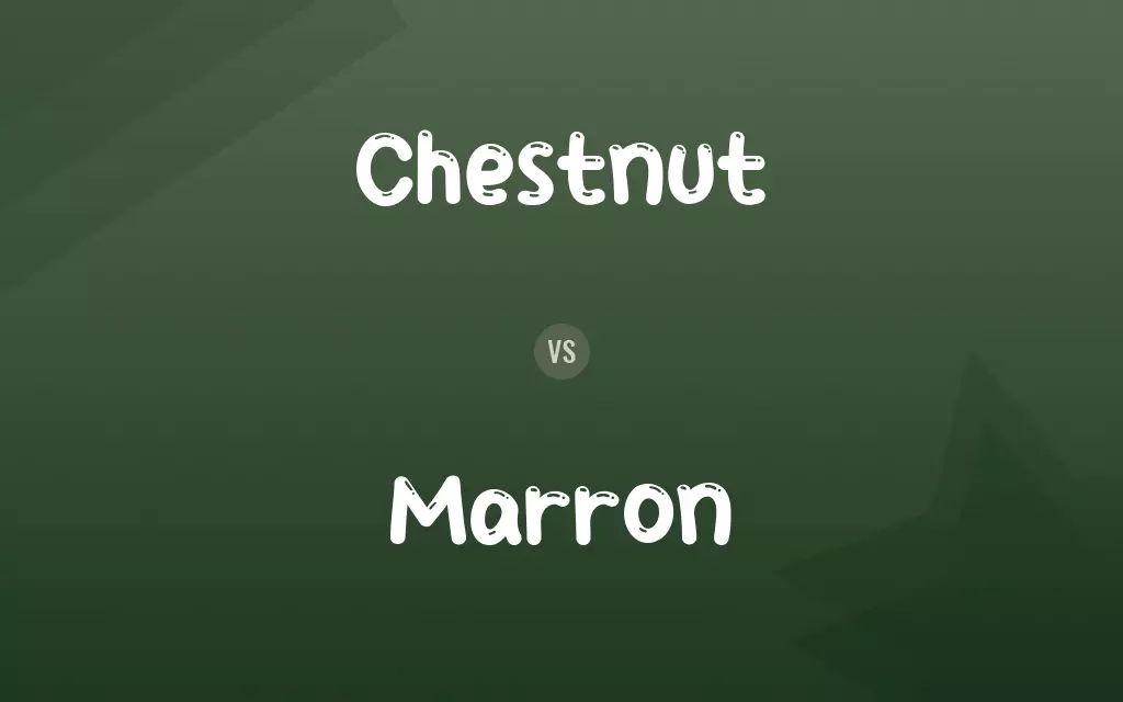 Chestnut vs. Marron