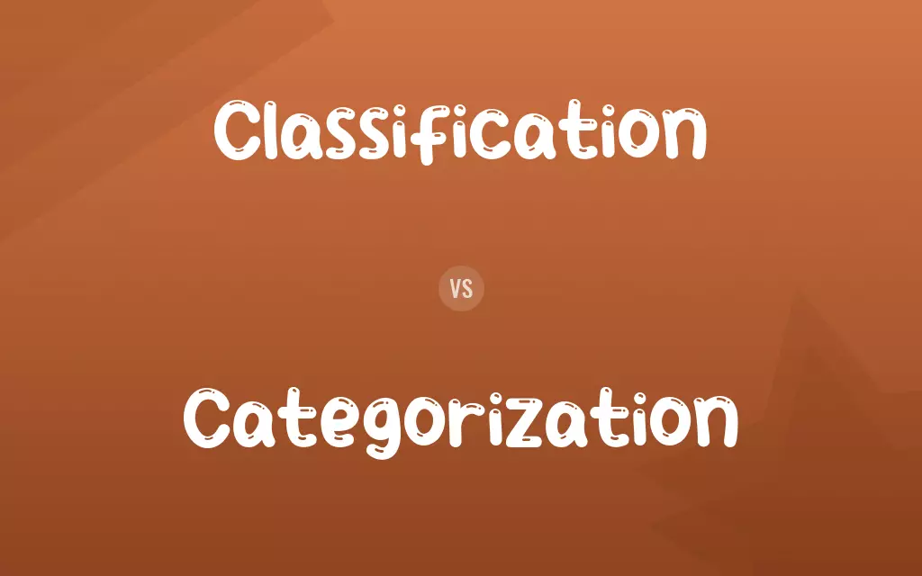Classification vs. Categorization