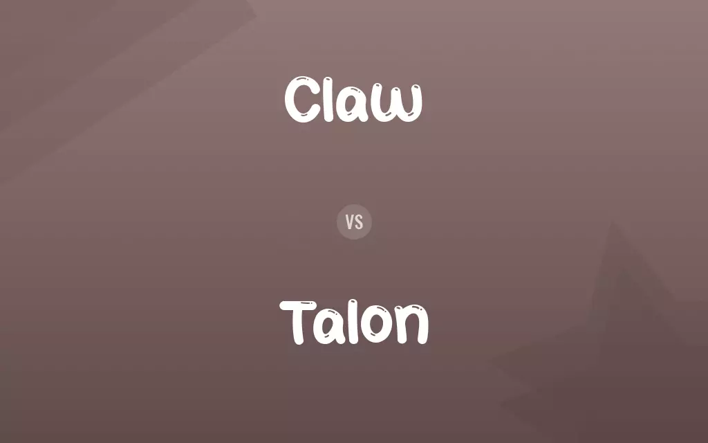 Claw vs. Talon