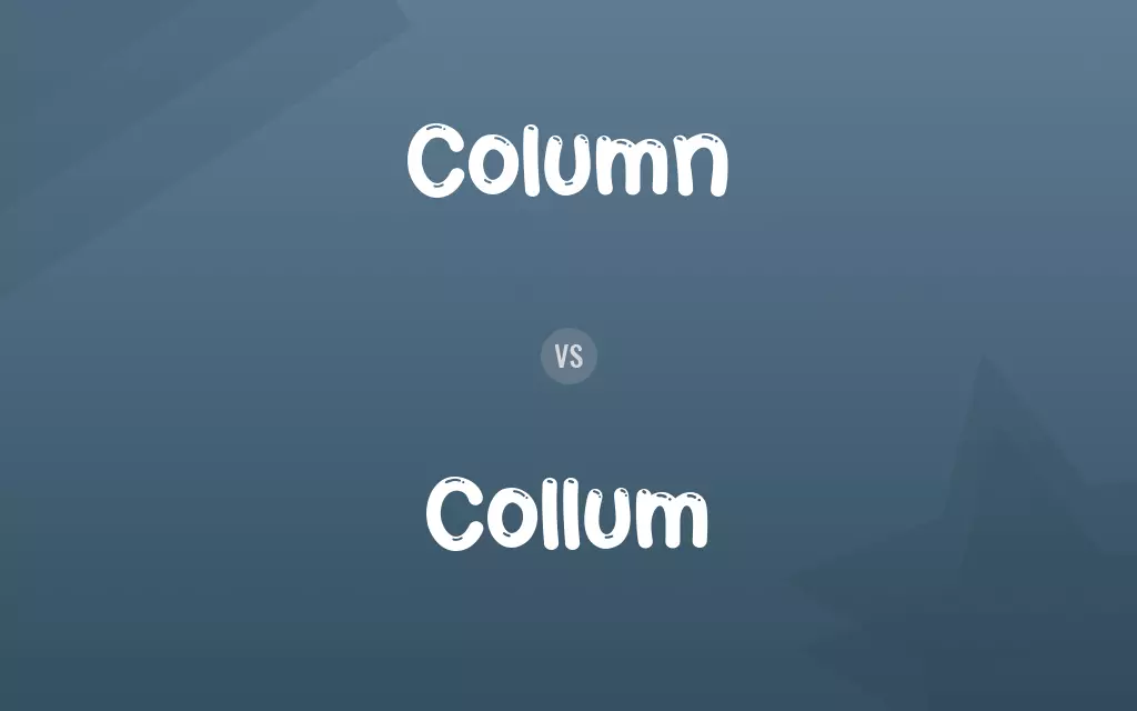 Column vs. Collum