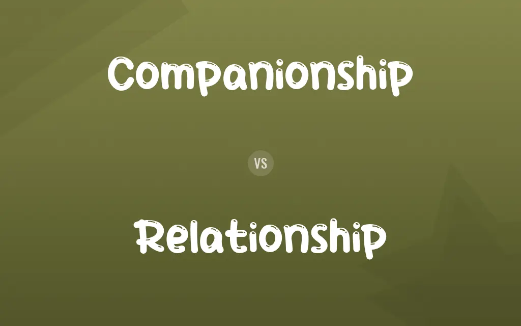 Companionship vs. Relationship