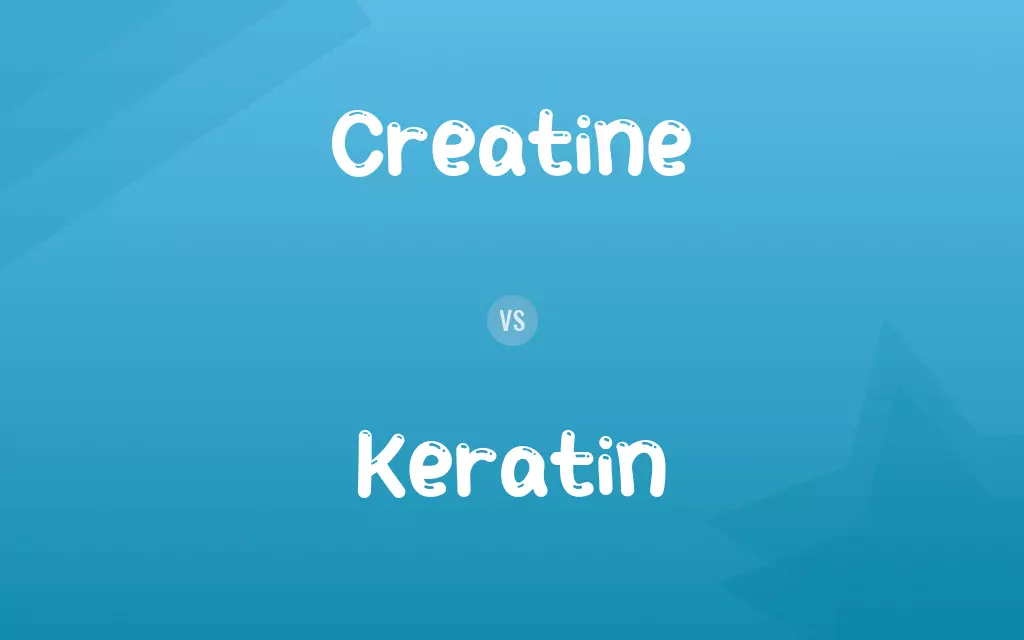 Creatine vs. Keratin