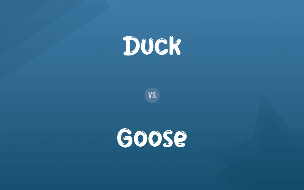 Duck vs. Goose