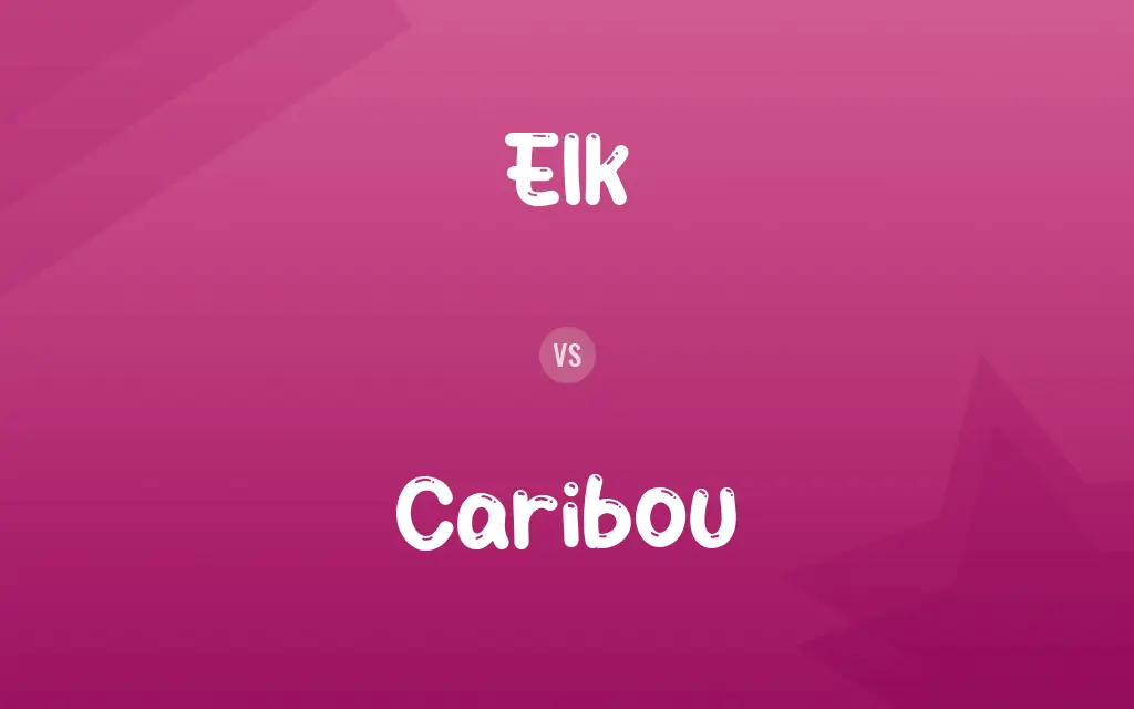 Elk vs. Caribou