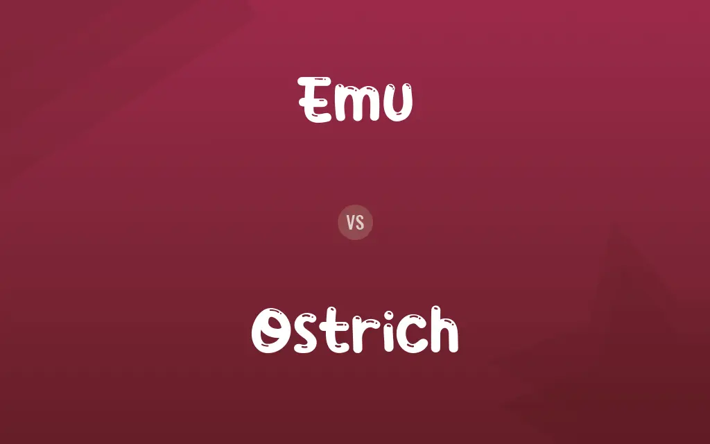 Emu vs. Ostrich