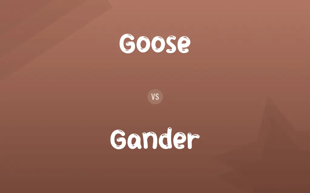 Goose vs. Gander