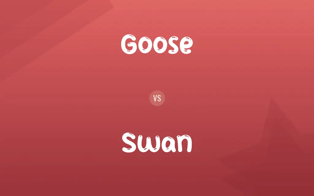 Goose vs. Swan