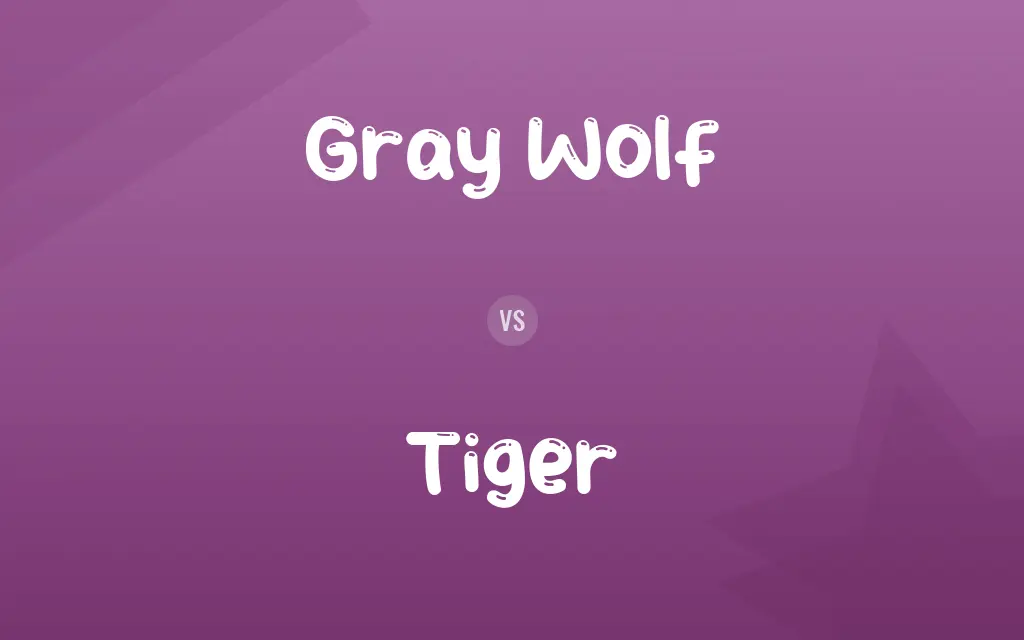 Gray Wolf vs. Tiger