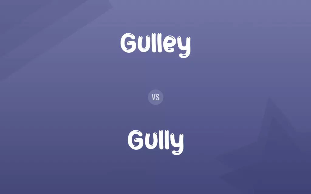 Gulley vs. Gully