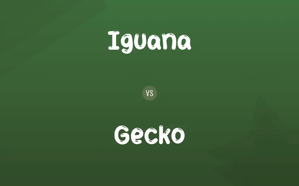 Iguana vs. Gecko