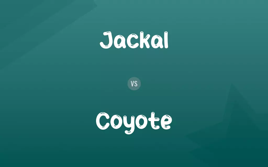 Jackal vs. Coyote