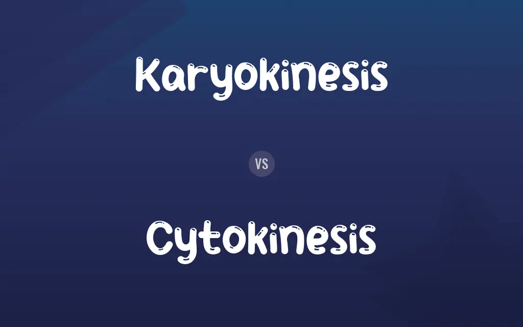 Karyokinesis vs. Cytokinesis