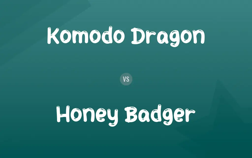 Komodo Dragon vs. Honey Badger
