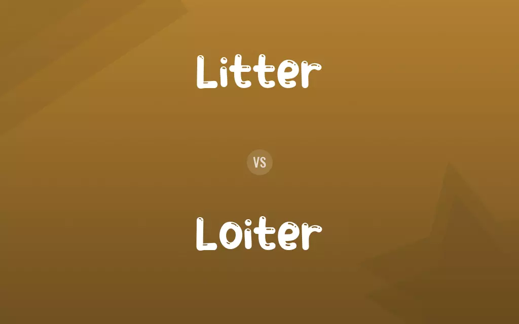 Litter vs. Loiter