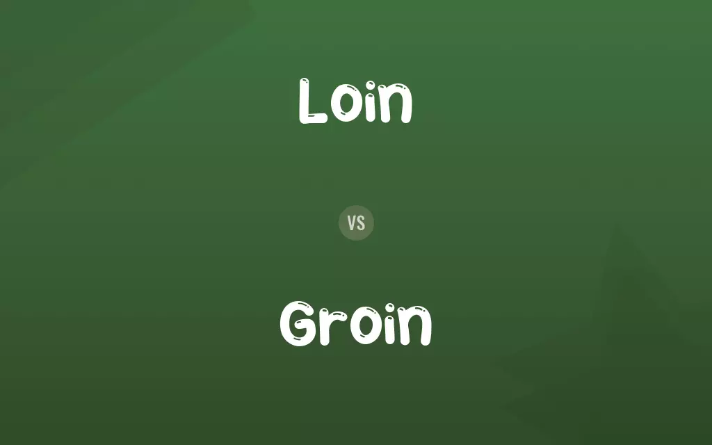 Loin vs. Groin