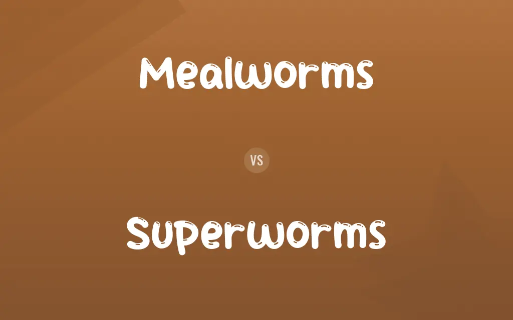 Mealworms vs. Superworms