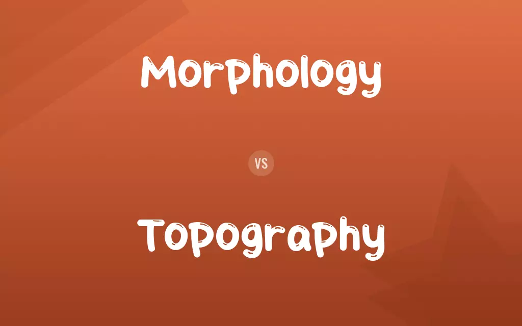 Morphology vs. Topography